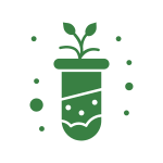 Decorative icon showing a seedling inside a test tube