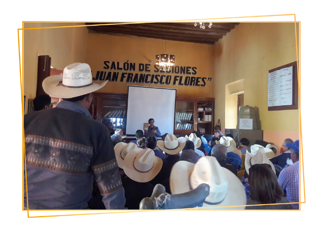 charla2 Encuentro de diálogo con productores locales para reflexionar sobre procesos comunitarios y decisiones futuras.