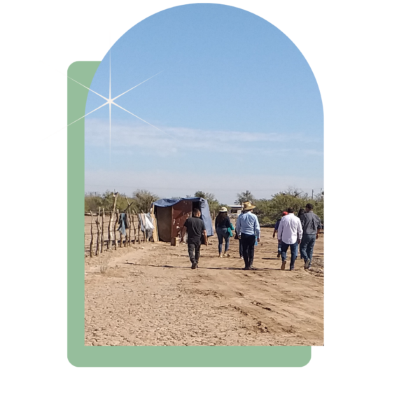 desertland personas caminando en el semidesierto