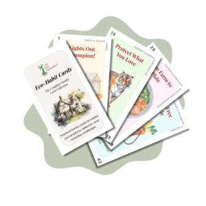 Image of Eco-Cards