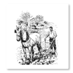Farmer
